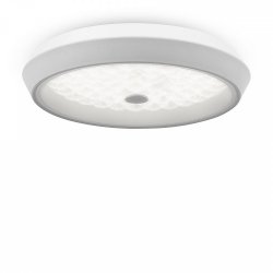 Потолочный светодиодный светильник с пультом ДУ Freya Cells FR10012CL-L24W