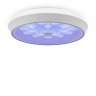 Потолочный светодиодный светильник с пультом ДУ Freya Cells FR10012CL-L24W