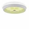 Потолочный светодиодный светильник с пультом ДУ Freya Cells FR10012CL-L24W