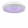 Потолочный светодиодный светильник с пультом ДУ Freya Cells FR10012CL-L24W