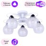 Потолочная люстра Arte Lamp с поддержкой Алиса A7585PL-5WH-A
