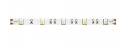 5м. Светодиодная лента холодного цвета 6000К, 7,2W, 24V, 30LED, IP20 Led strip Maytoni 10162
