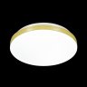 Настенно-потолочный светодиодный светильник Sonex Smalli 3066/CL