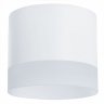 Накладной светильник Castor Arte Lamp A5554PL-1WH