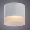 Накладной светильник Castor Arte Lamp A5554PL-1WH