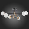 Люстра потолочная ST-Luce LIMANO SL1203.402.06