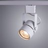 Однофазный светильник для трека Arte lamp Mizar A1311PL-1WH