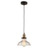 Однофазный светильник на подвесе для трека Glen cove Lussole Loft LSP-9606-TAB