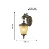 Уличный настенный светильник с лампочкой Favourite Dragon  1716-1W+Lamps А60