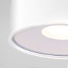 Уличный светодиодный светильник Elektrostandard Light LED 2135 IP65 35141/H белый (a057471)