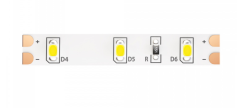 5м. Светодиодная лента холодного цвета 6000K, 4,8W, 12V, 60LED, IP20 Led strip Maytoni 10104
