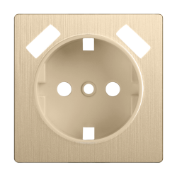Накладка для розетки USB (шампань рифленый) Werkel W1179510