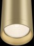 Потолочный накладной светильник Focus C010CL-01MG
