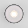 Уличный светодиодный светильник Elektrostandard Light LED 2135 IP65 35141/H серый (a057472)