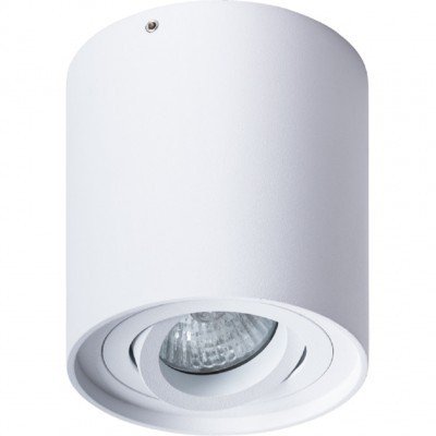 Потолочный светильник Arte Lamp Galopin A1460PL-1WH