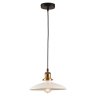 Однофазный светильник на подвесе для трека Glen cove Lussole Loft LSP-9605-TAB