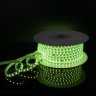 50м. Комплект светодиодной ленты RGB 5050 11W, 220V, 60LED/m, IP65 Elektrostandard (a053641)