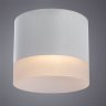 Точечный светильник Castor Arte Lamp A5554PL-1WH