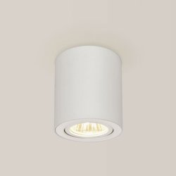 Потолочный светильник Citilux Дюрен CL538111
