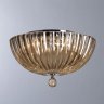 Потолочный светильник Divinare Lianto с поддержкой Алиса 4011/02 PL-3-A