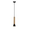 Подвесной светильник с лампочкой  Favourite Piffero 2984-1P+Lamps Gu10