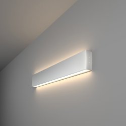 Линейный накладной светильник Elektrostandard 53см 20W 4200K матовое серебро 101-100-40-53 (a041475)