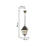 Уличный подвесной светильник с лампочкой  Favourite Zagreb 1804-1P+Lamps А60