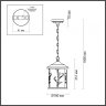 Подвесной уличный светильник с ретро лампой Odeon Light Cuita 4963/1+Retro Lamps