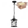 Подвесной уличный светильник с ретро лампой Odeon Light Cuita 4963/1+Retro Lamps