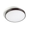 Потолочный светодиодный светильник с пультом ДУ Lumion Agatha 4509/72CL