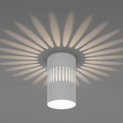 Накладной светильник с LED подсветкой Elektrostandard DLS026 (a047685)