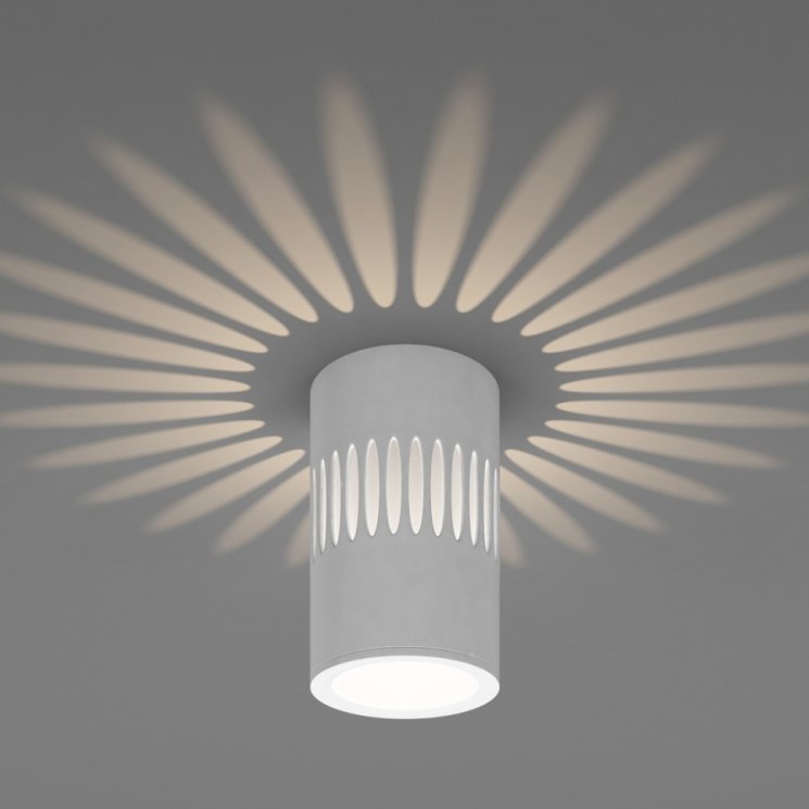 Накладной светильник с LED подсветкой Elektrostandard DLS026 (a047685)
