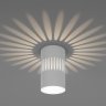 Накладной светильник с LED подсветкой Elektrostandard DLS026 (a047685)