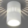 Накладной светильник с LED подсветкой Elektrostandard DLS026 (a047685)