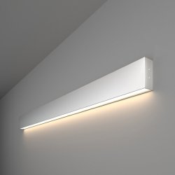 Линейный накладной светильник Elektrostandard 103см 20W 4200K матовое серебро 101-100-30-103 (a041481)