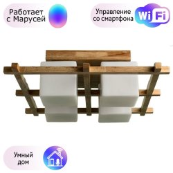 Светильник потолочный Arte Lamp 95 с поддержкой Маруся A8252PL-4BR-М