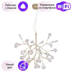 Подвесная люстра Crystal Lux с поддержкой Алиса EVITA SP36 GOLD/TRANSPARENT-А