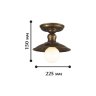 Светильник с лампочкой Favourite Magrib 1214-1U+Lamps