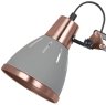 Настольная лампа Arte Lamp A2246LT-1GY