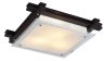 Настенно-потолочный светильник Arte Lamp Archimede с поддержкой Маруся A6462PL-3CK-М