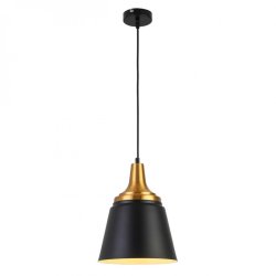 Подвесной светильник Escada Aries 1100/1S Black