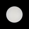 Потолочный светодиодный светильник Axel Loft It 10002/48 White