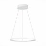 Подвесной светодиодный светильник St Luce IN ST603.543.22