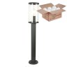 Уличный светильник с лампочкой  Favourite Lukturis 3038-1T+Lamps А60