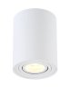 Потолочный светильник Crystal Lux CLT 410C1 WH