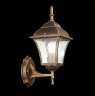 Уличный настенный светильник Domenico St-Luce SL082.201.01