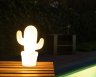 13813/02/31 Уличный декоративный светодиодный диммируемый светильник ''Кактус'' Lucide Cactus