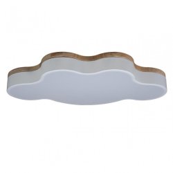 Потолочный светодиодный светильник Axel Loft It 10005/36 White