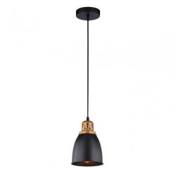 Подвесной светильник Arte Lamp Eurica A4248SP-1BK