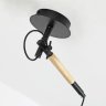 Настенно-потолочный светильник с лампочкой F-Promo Eureka 3006-1P+Lamps А60